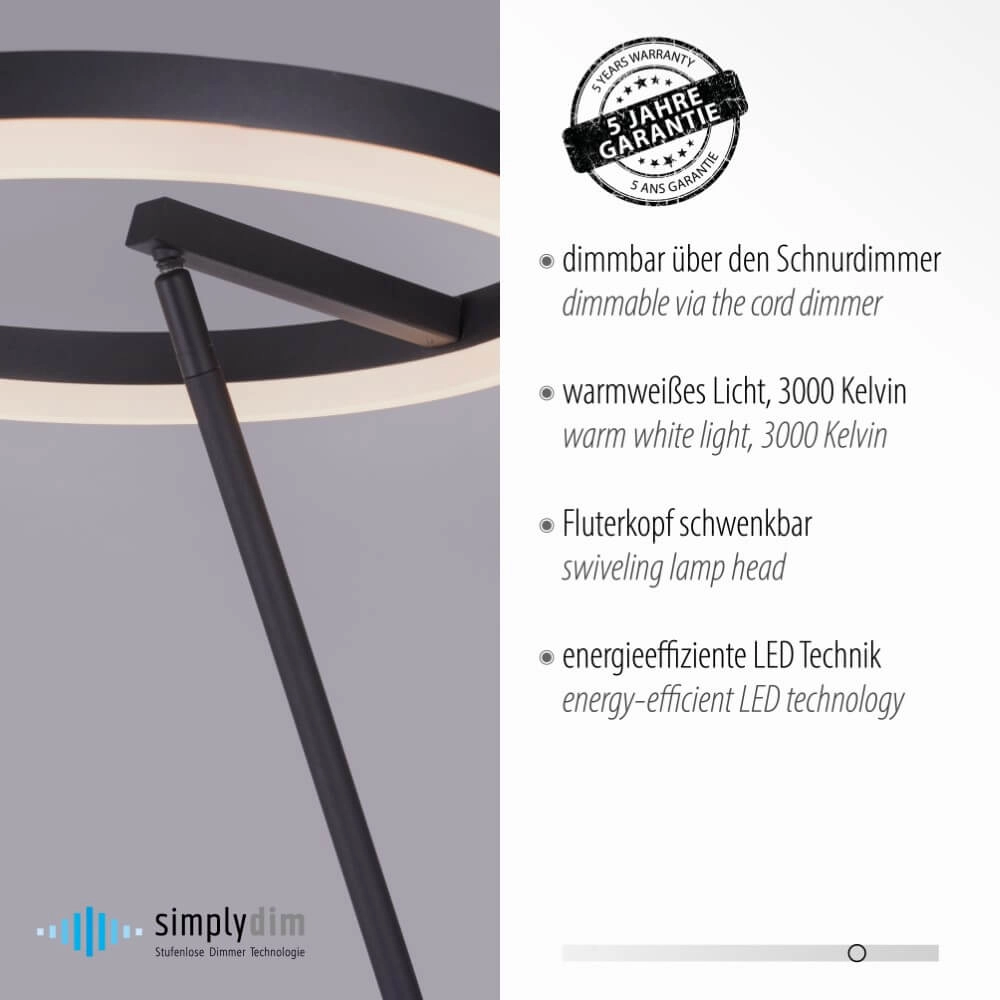 Antraciete vloerlamp Titus modern Paul Neuhaus 4012248357637