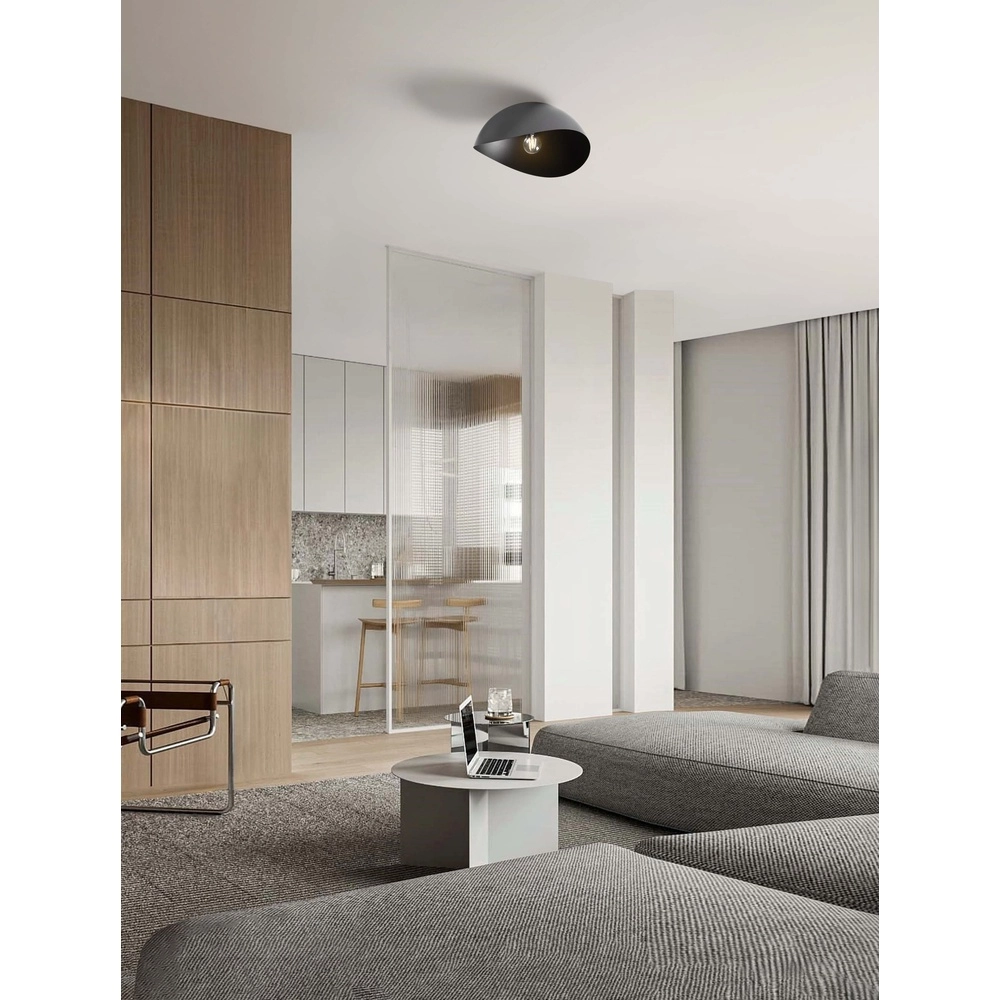 Plafondlamp Opsi zwart Ø 40cm Lyora 5212017458049