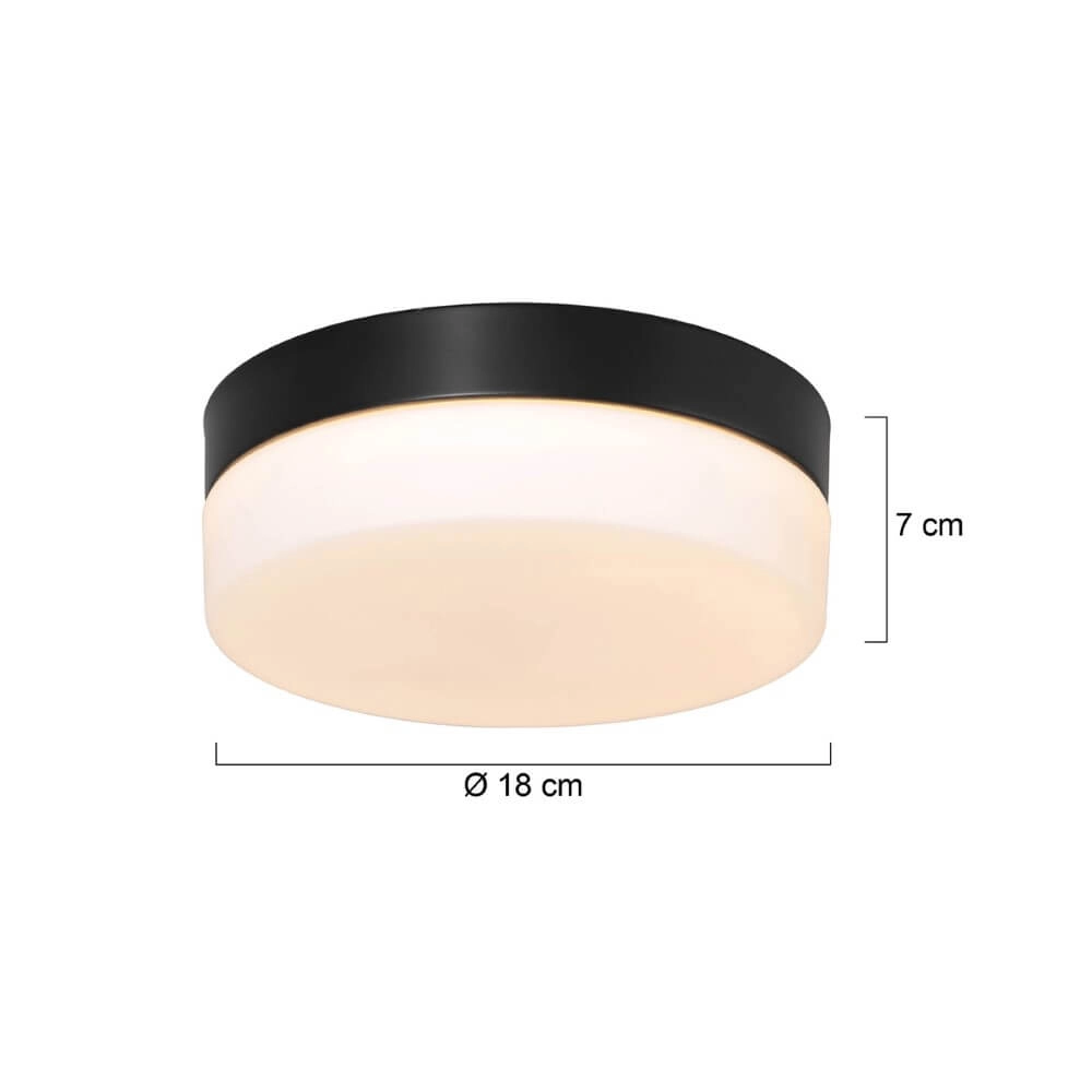Badkamer plafondlamp Ikaro Ø 18cm Steinhauer 8712746152968