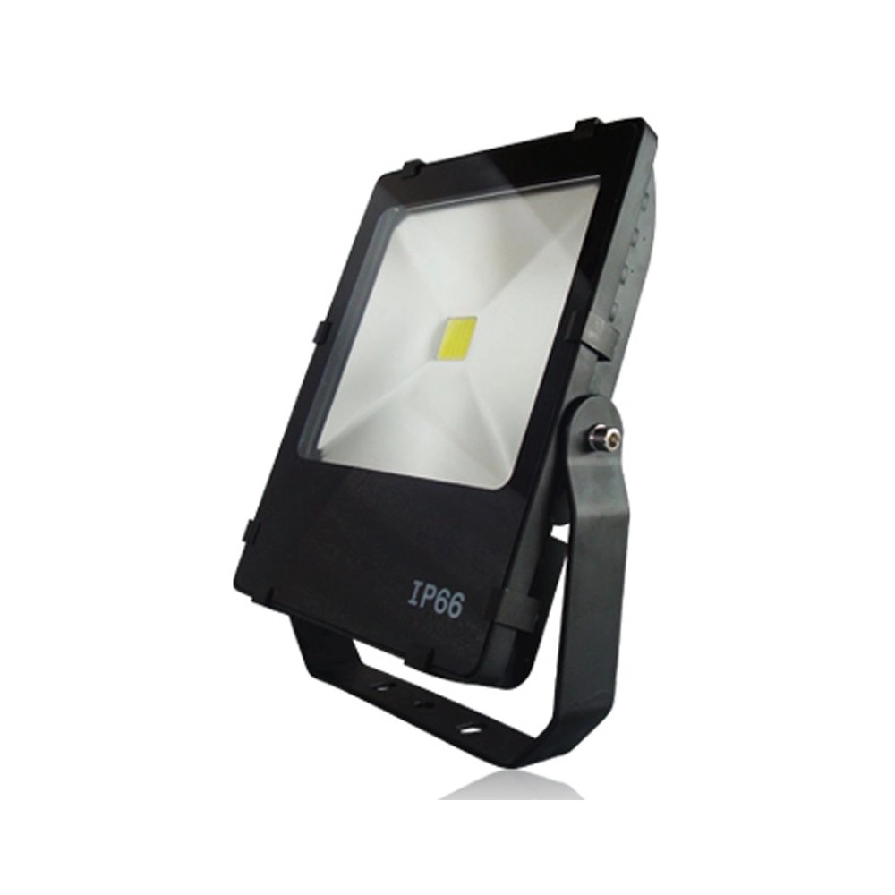 Ledspot Floodlight