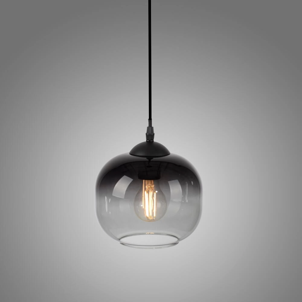 Zwarte hanglamp Zea enkel Just Light 4043689993740