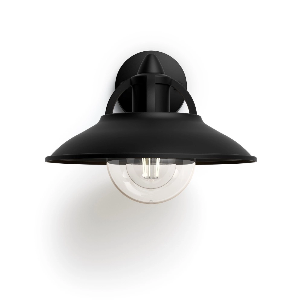 Buitenlamp Cormorant Philips 8718696165836