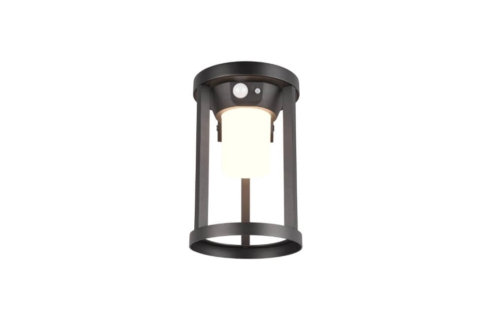 Wandlamp Carmo zwart Trio 4017807564235