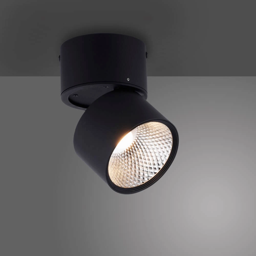 Opbouwspot Pure Nola zwart Paul Neuhaus 4012248371992