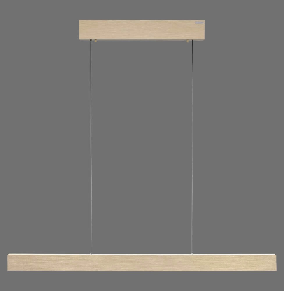 Design hanglamp Pure E-Motion messing Paul Neuhaus 4012248372913