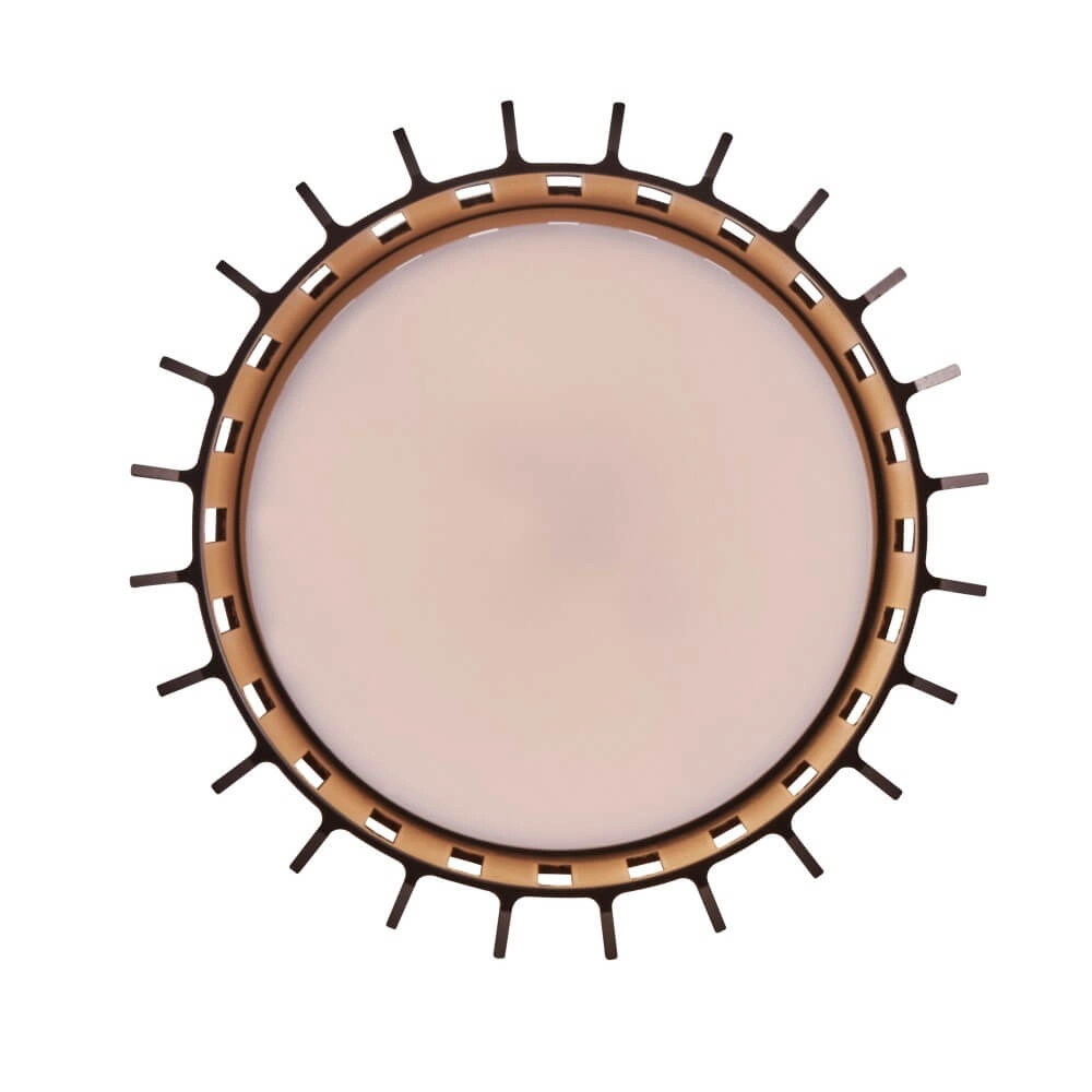 Outdoor ceiling lamp Aludra IP54 - brown metallic Nordlux 5704924022012