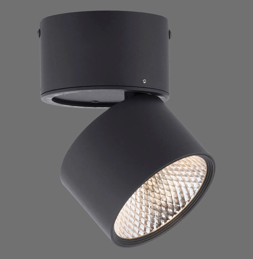 Opbouwspot Pure Nola zwart Paul Neuhaus 4012248371992