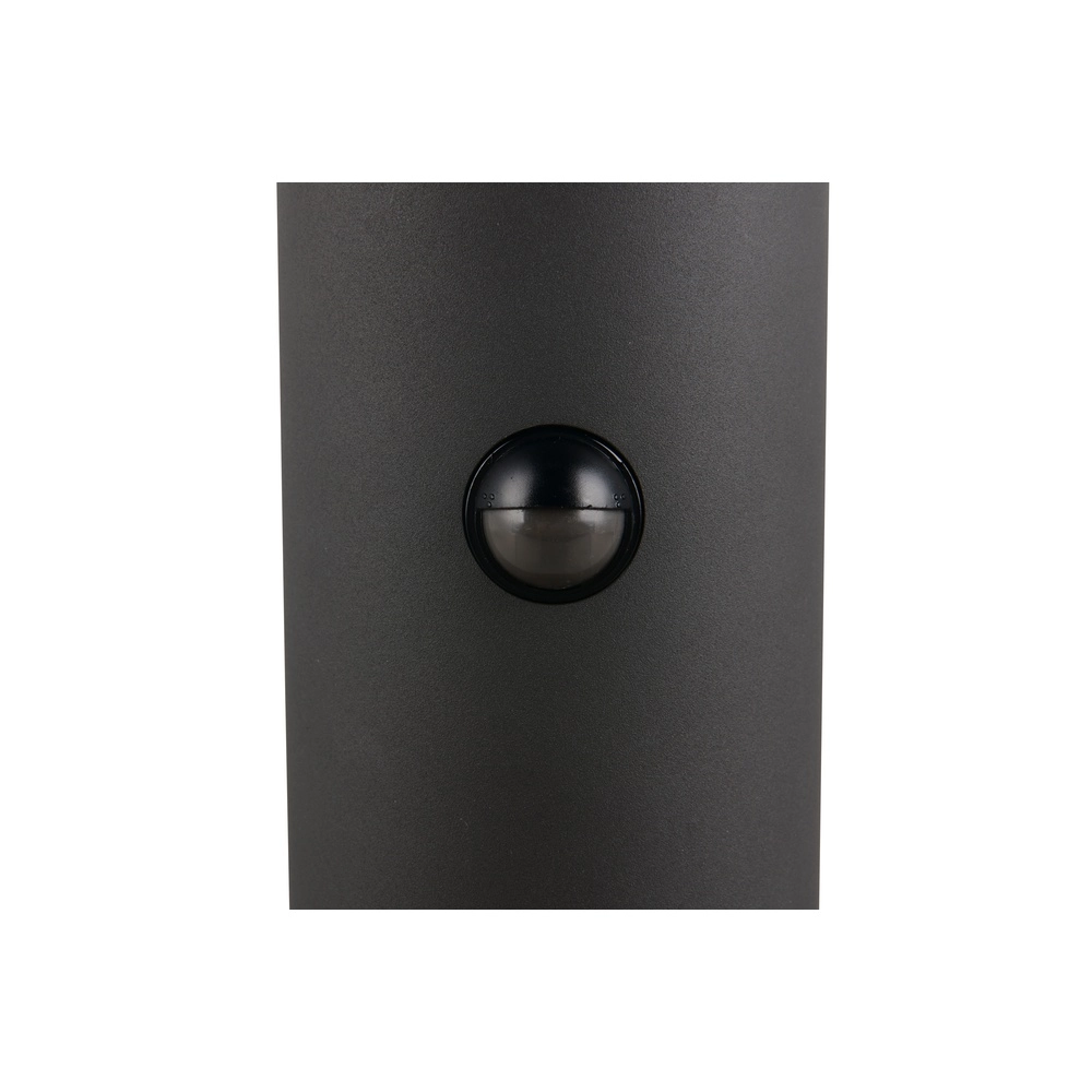 Tuinlamp Tagus antraciet 100cm met sensor Trio 4017807686869