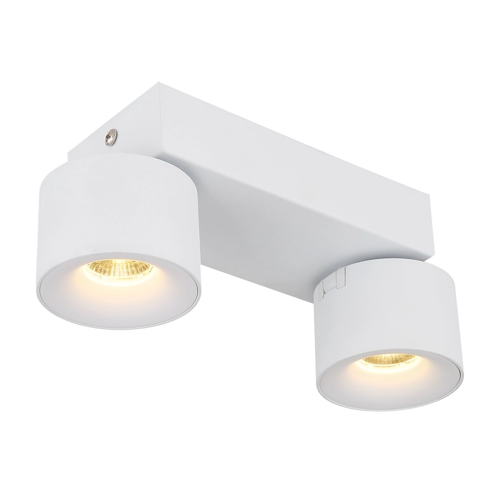 Strakke plafondlamp Rae 2-lichts wit Globo 9007371450640