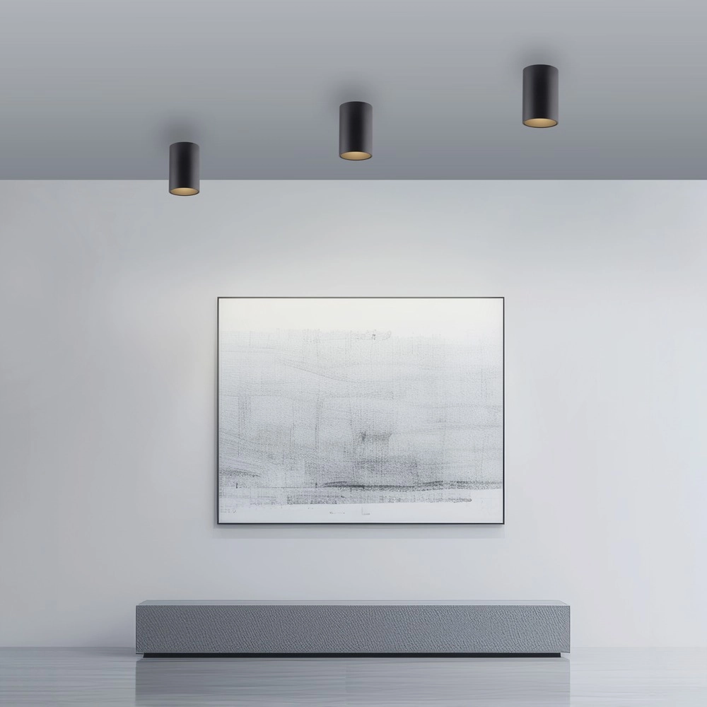 Plafond opbouwspot Pure Point Ø 6cm - black pearl Paul Neuhaus 4012248395677