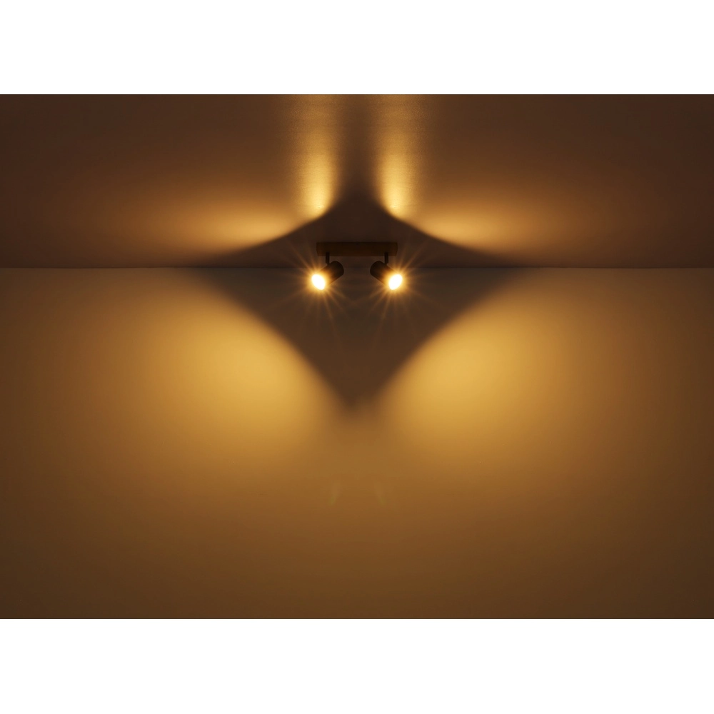 Plafondlamp 2-lichts Robby hout Globo 9007371430529