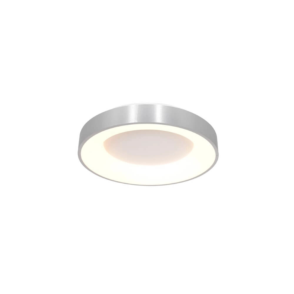 Ø 30cm plafondlamp Ringlede met led