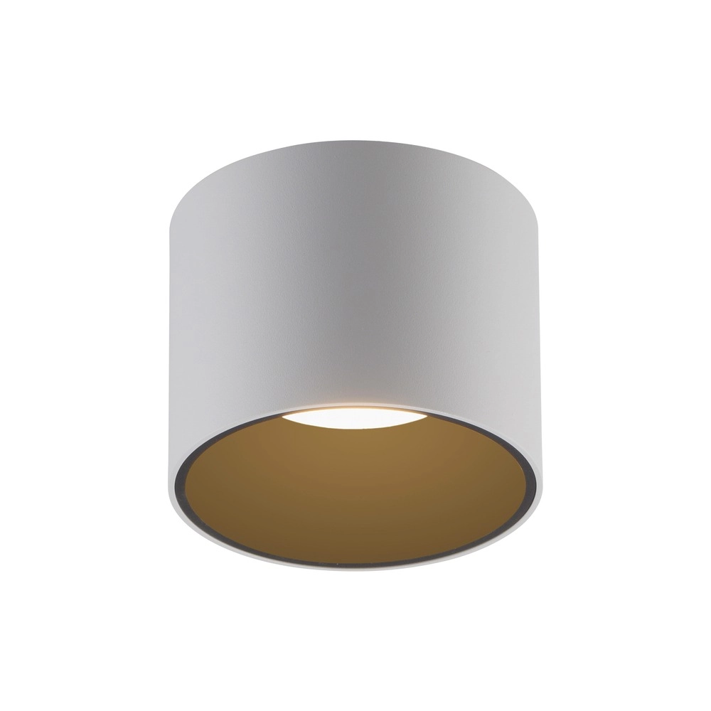 Plafond opbouwspot Pure Point Ø 11cm - wit Paul Neuhaus 4012248395639
