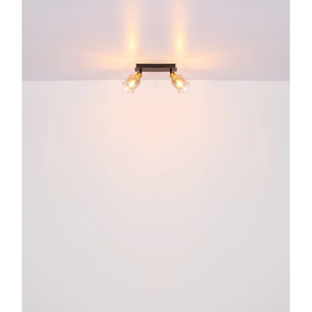 2-lichts plafondlamp Hollsy zwart met smoke glas Globo 9007371445851