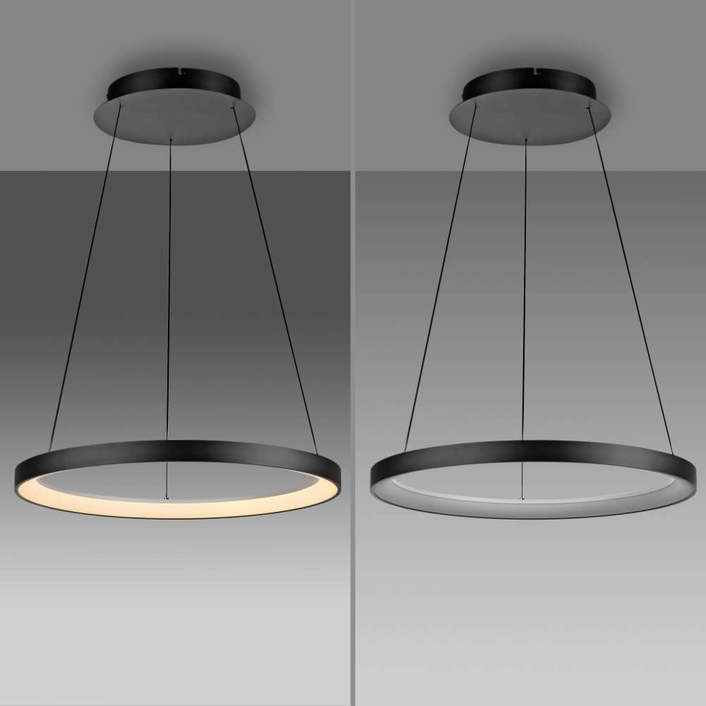 Ronde hanglamp Hoop zwart Paul Neuhaus 4012248384695