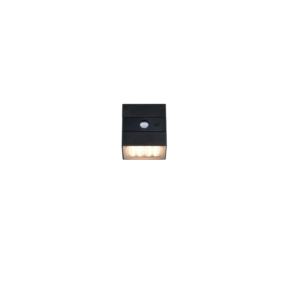 Wandlamp Talca zwart Trio 4017807691658