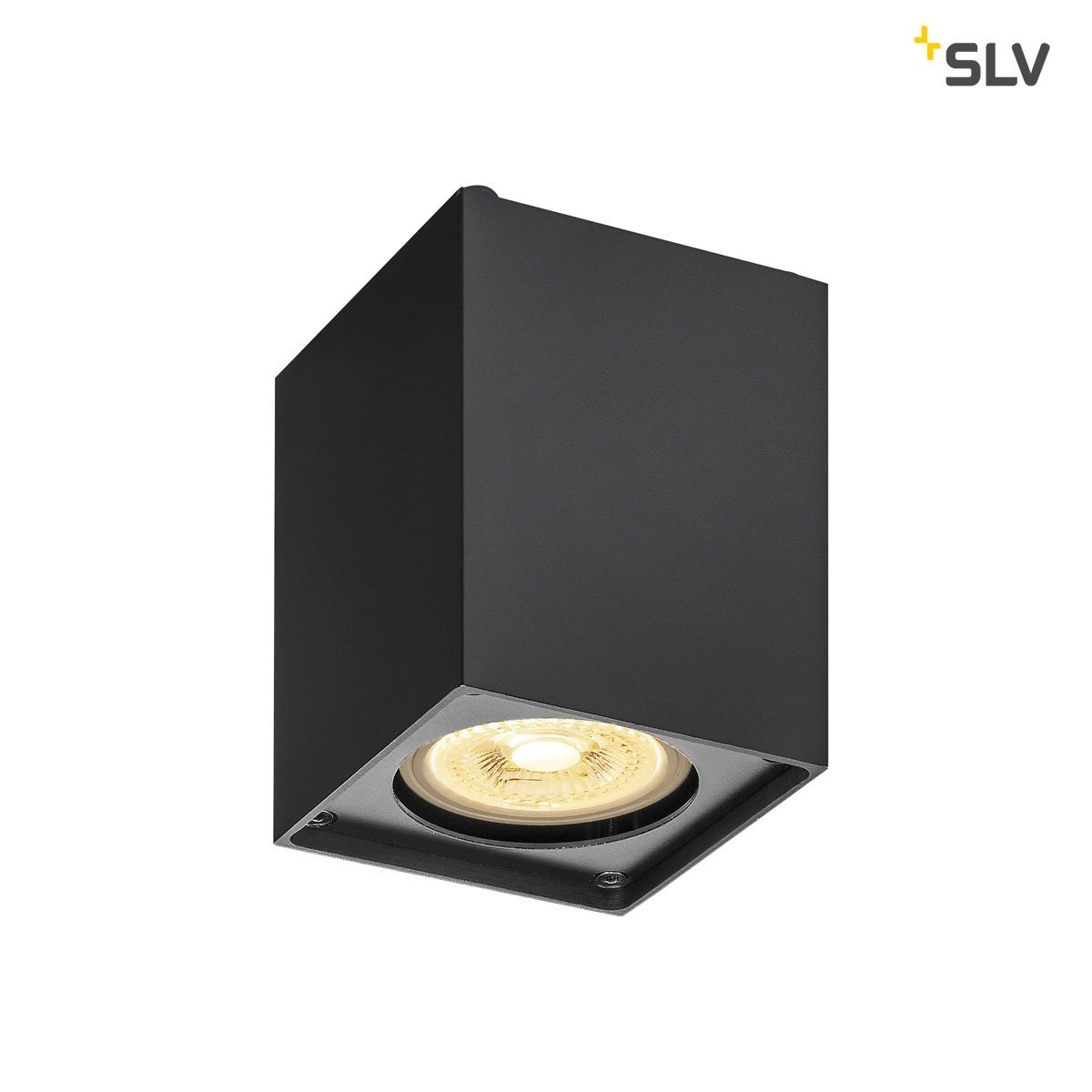 Plafondlamp Altra Dice