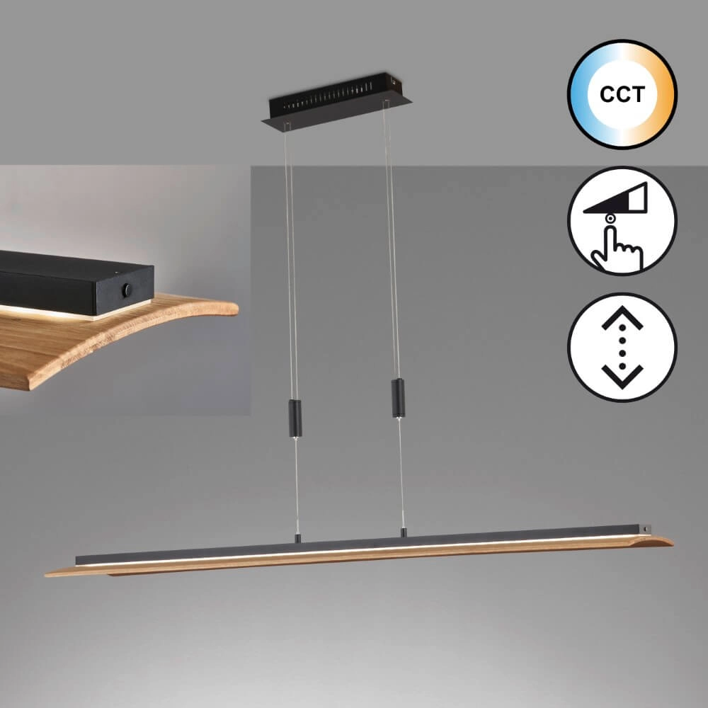 Hanglamp Shine-Wood zwart Fischer & Honsel 4003694610773