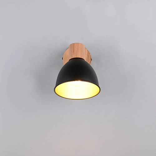 Plafondlamp Delume enkel zwart Trio 4017807672237