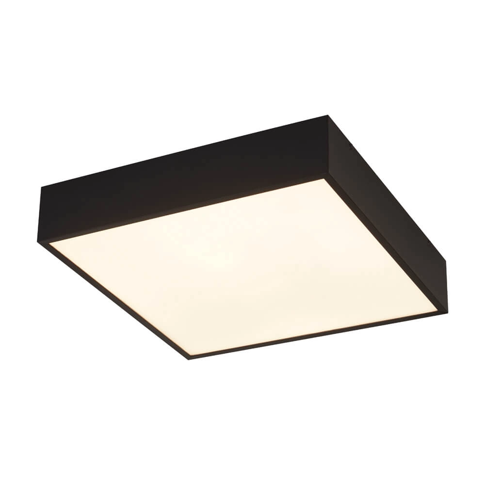 Badkamer plafondlamp Zeus vierkant zwart