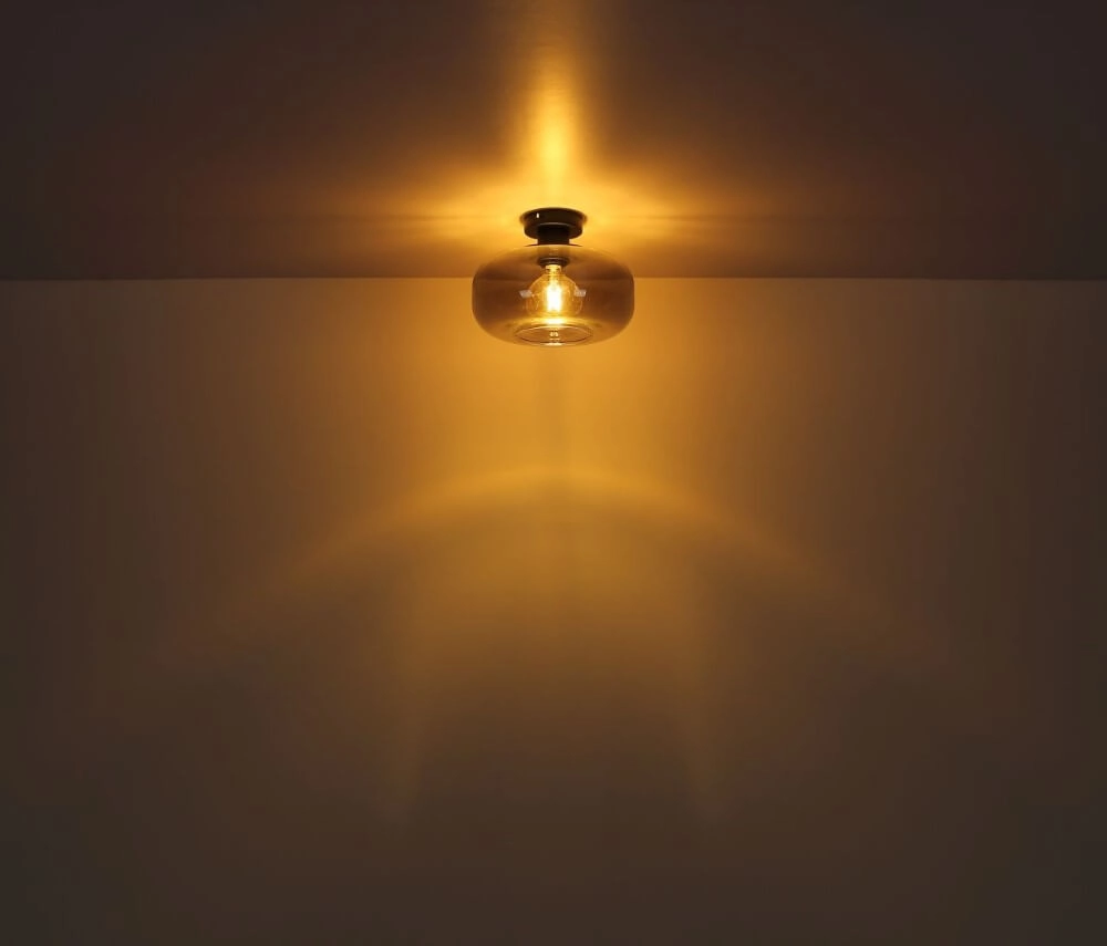Zwarte plafondlamp Giuseppe smoke glas Globo 9007371432226
