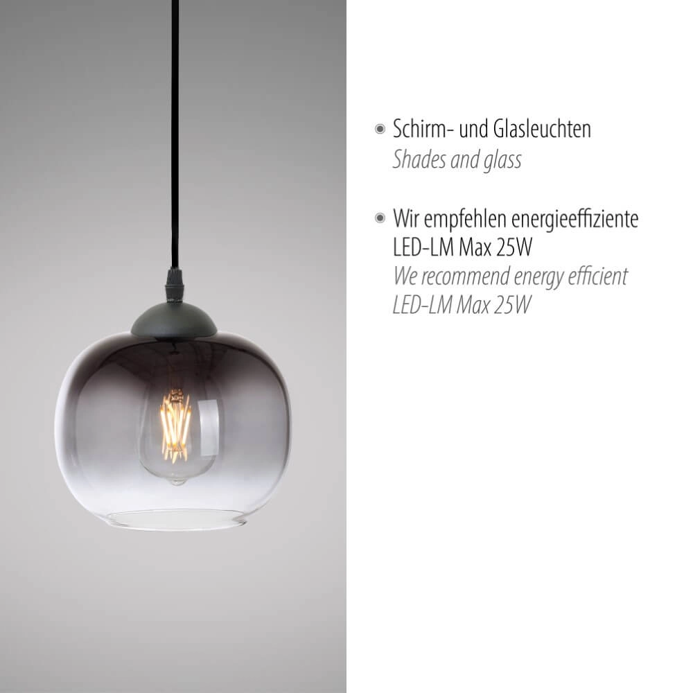 Zwarte hanglamp Zea enkel Just Light 4043689993740