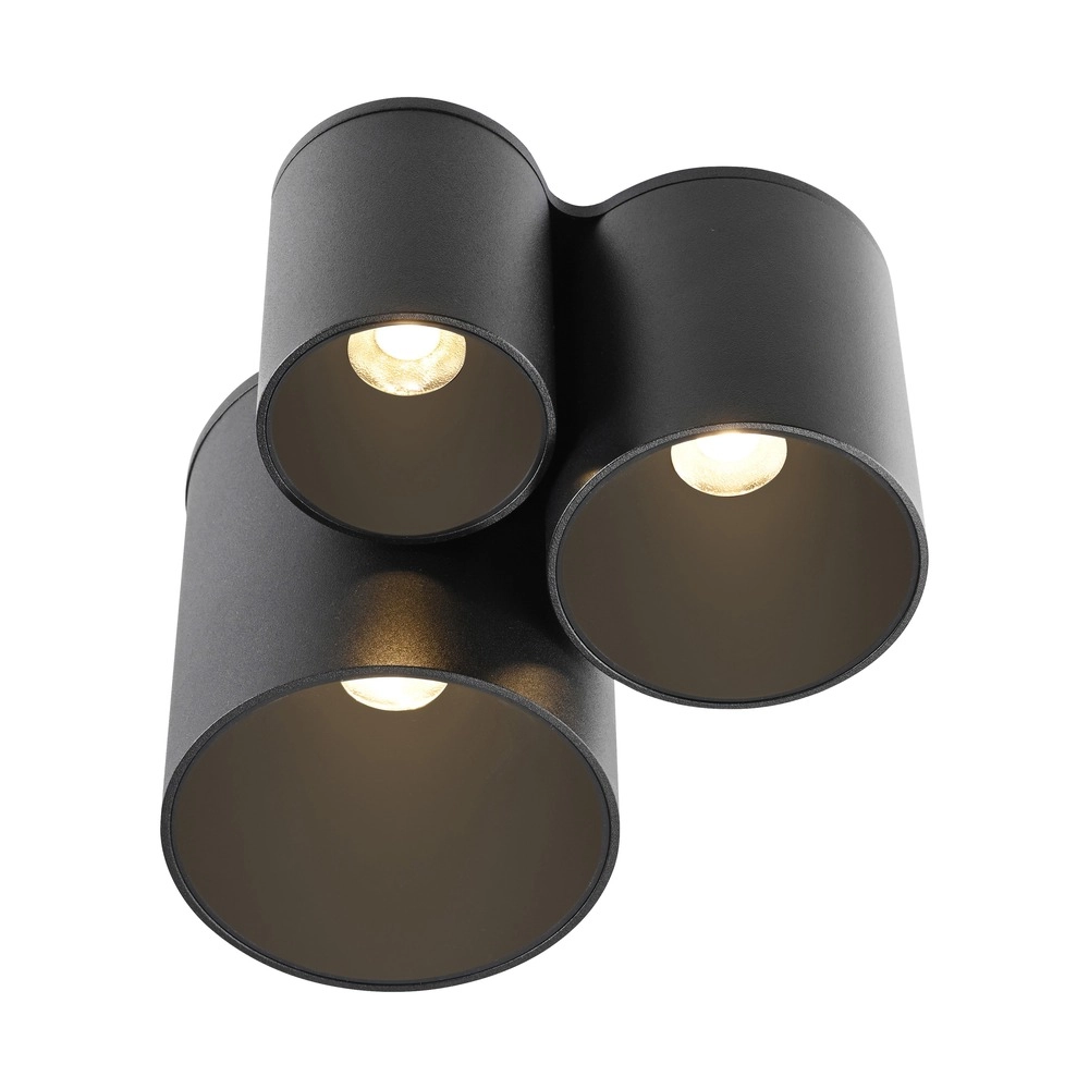 3L plafondlamp Pure Point black pearl Paul Neuhaus 4012248395714