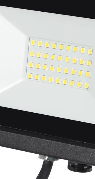 Schijnwerper Assist 20W Reled 8719497494507