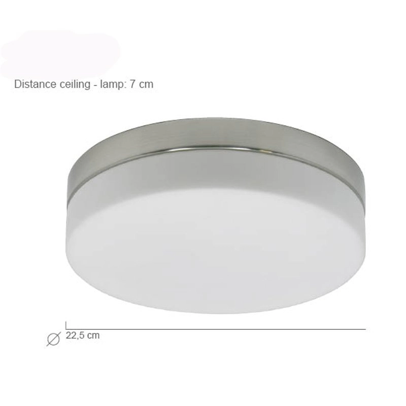 Led plafondlamp Ceiling 22cm 2950K metaalgrijs Steinhauer 8712746115284