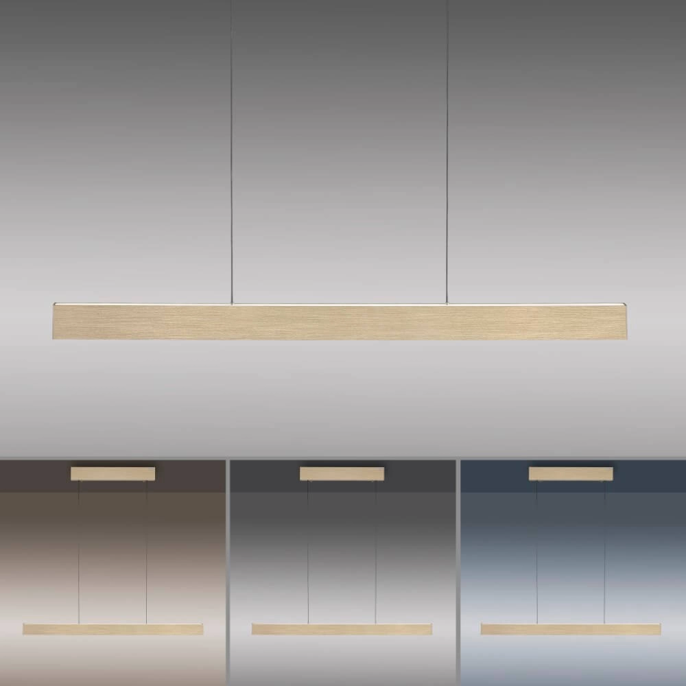 Design hanglamp Pure E-Motion messing Paul Neuhaus 4012248372913