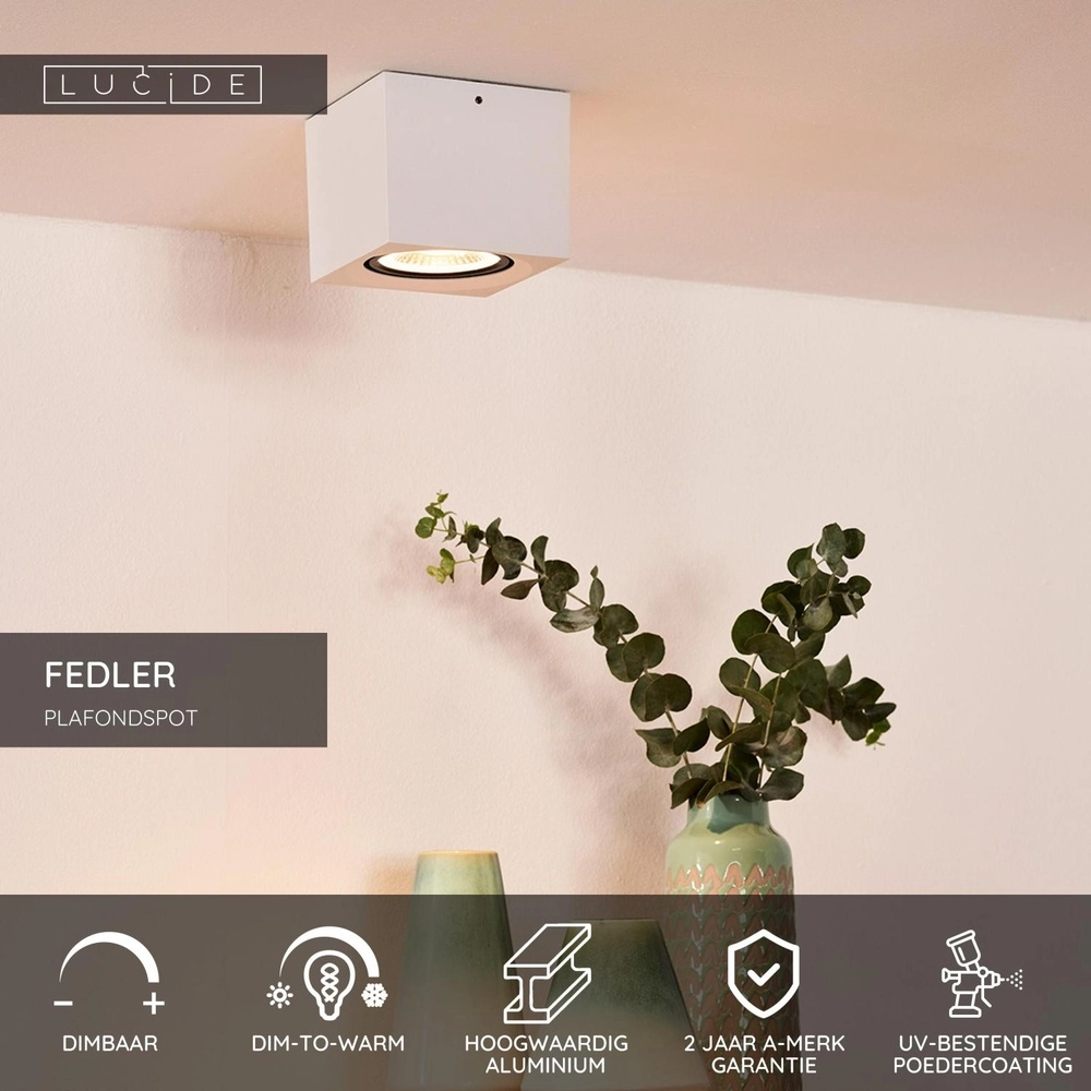 Plafondspot Fedler GU10 ES111 wit Lucide 5411212092168