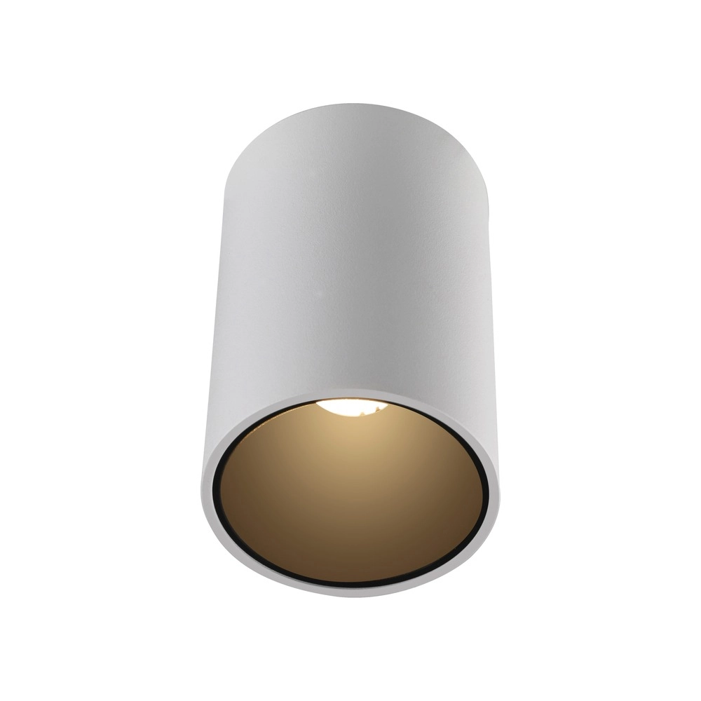 Plafond opbouwspot Pure Point Ø 6cm - wit Paul Neuhaus 4012248395660
