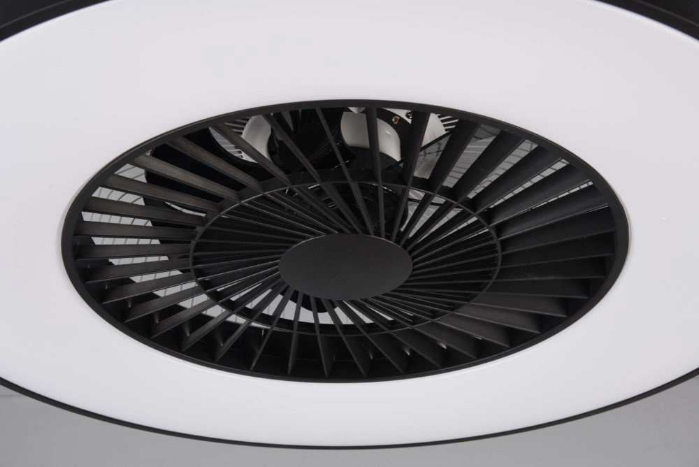 Zwarte plafondventilator Halmstadt Trio 4017807491036
