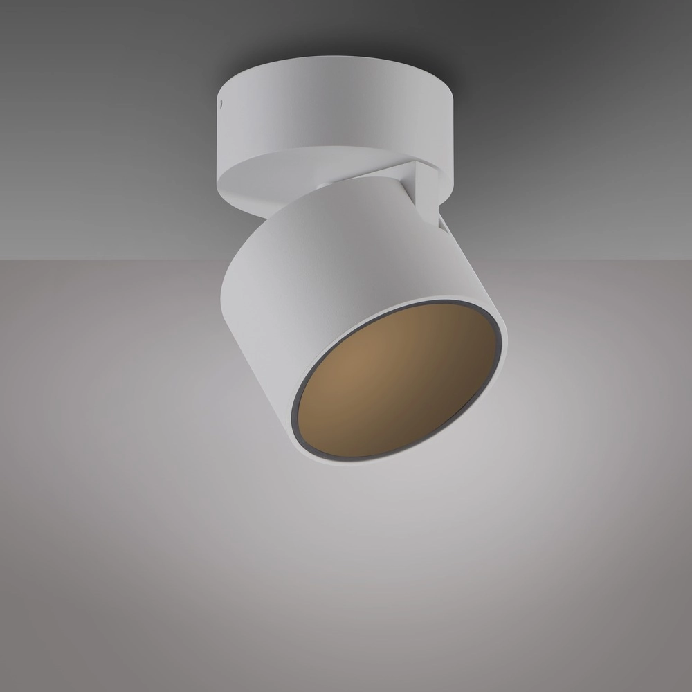 Strakke opbouwspot Pure Cup snow white Paul Neuhaus 4012248395578