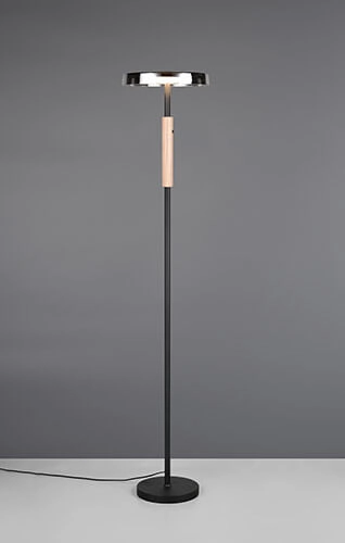 Led vloerlamp Celeste smoke glas Trio 4017807616910