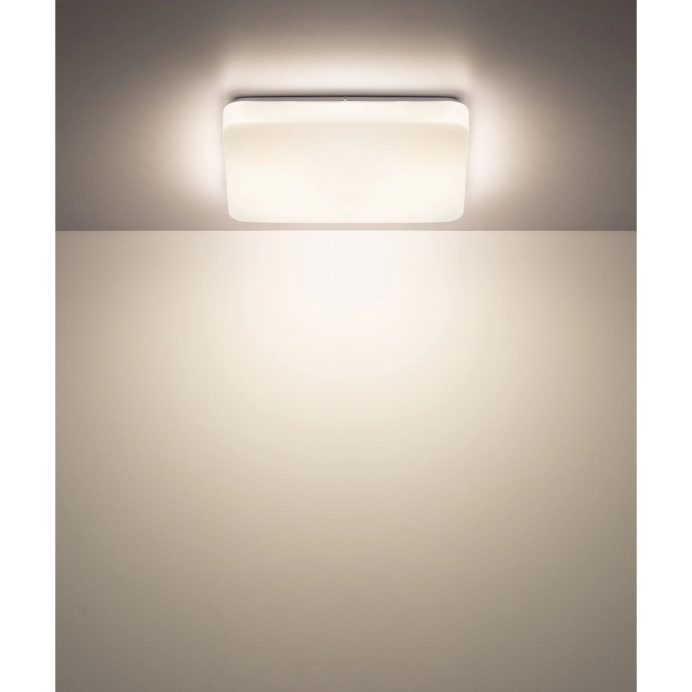 Plafondlamp Donte vierkant wit 27cm Globo 9007371583706