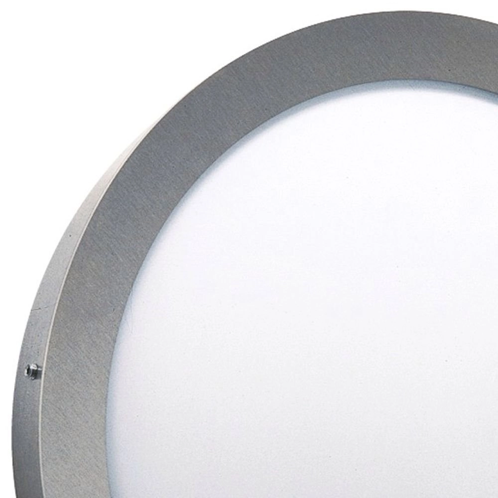 Muurlamp Rondo voor buiten Albert 4007235961744
