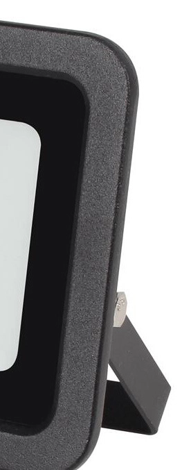 Schijnwerper Assist 20W Reled 8719497494507