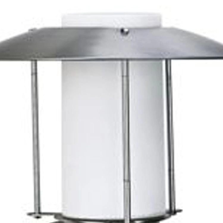Rvs buitenlamp Lantern Albert 4007235902372