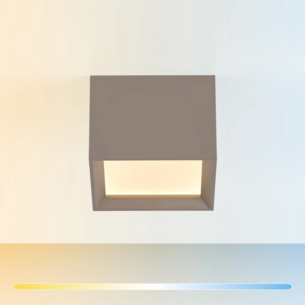 Led opbouwspot Pure Manhattan bronce Paul Neuhaus 4012248396858