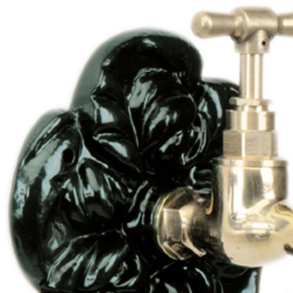 Waterornament Roset zwart KS verlichting 8714732583848