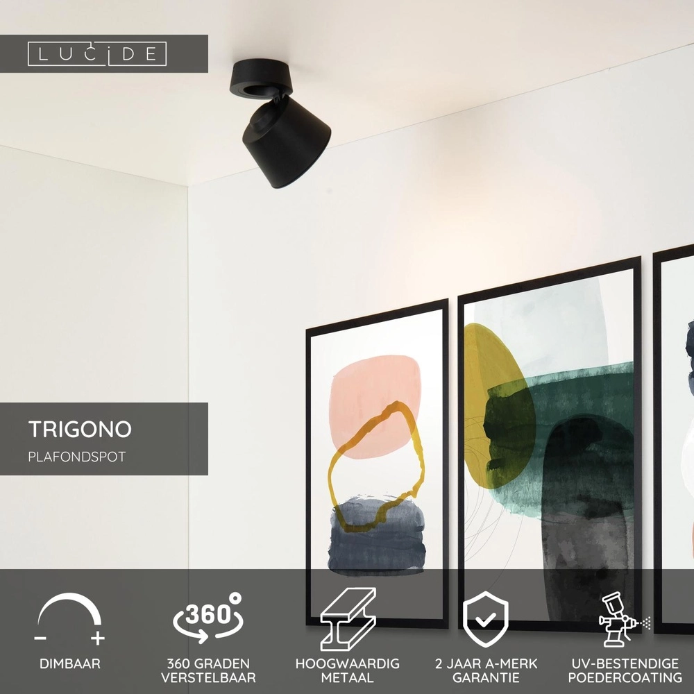 Plafondspot Trigono enkel zwart Lucide 5411212093110