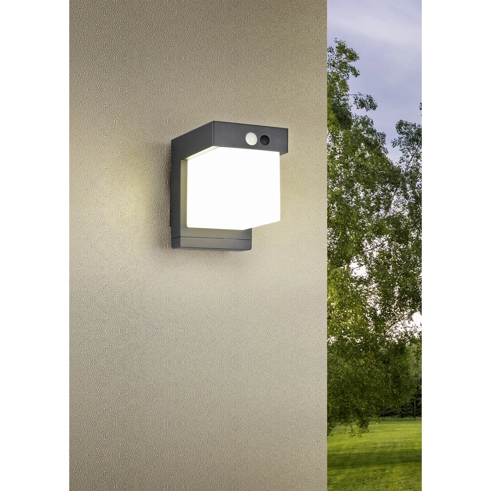 Design wandlamp Colombo zwart met sensor Trio 4017807647983