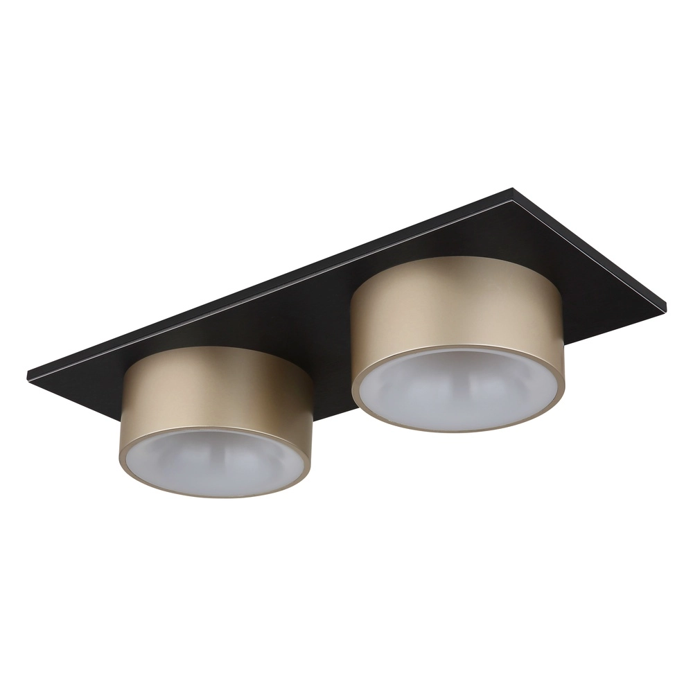 2-lichts plafondlamp Raymond zwart met champagne Globo 9007371522873