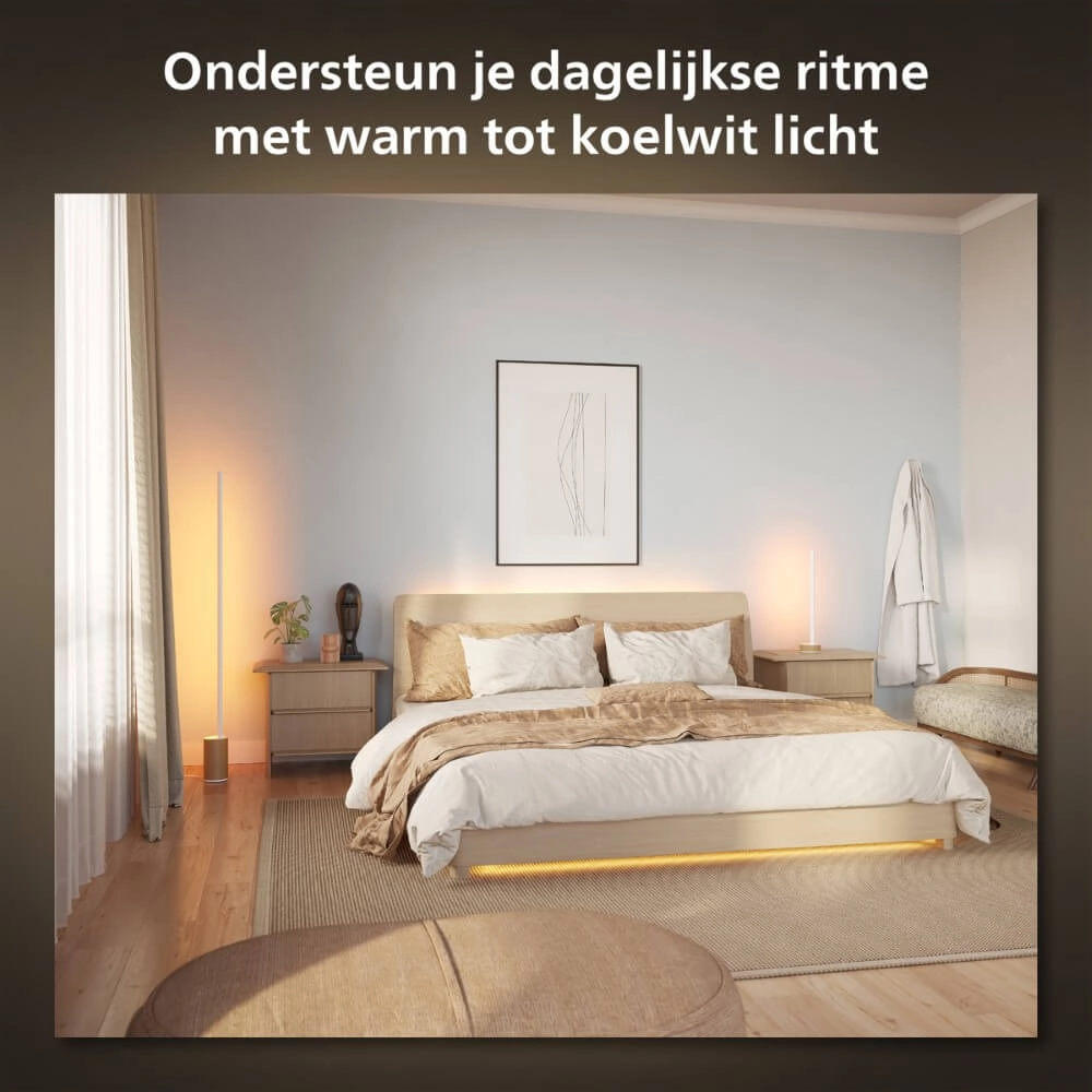 Slimme vloerlamp Hue Signe - White and color Philips 8719514433526