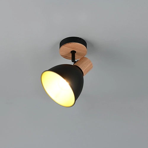 Plafondlamp Delume enkel zwart