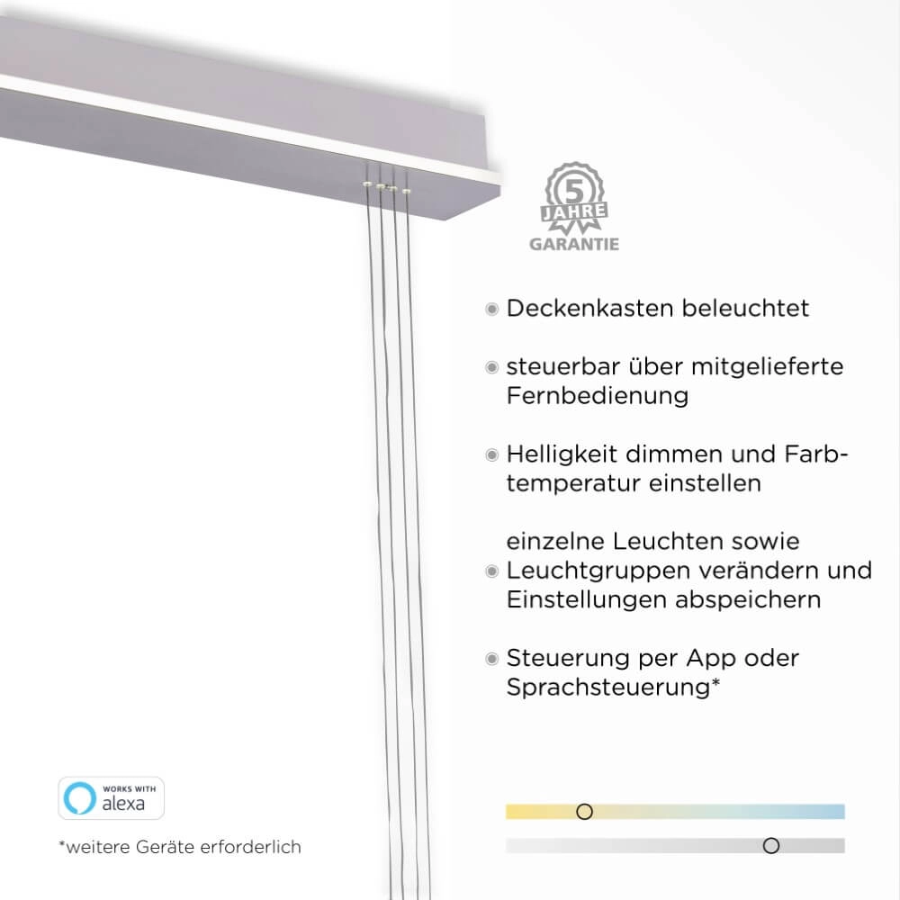 2-lichts hanglamp Q-Etienne metaal Paul Neuhaus 4012248350409