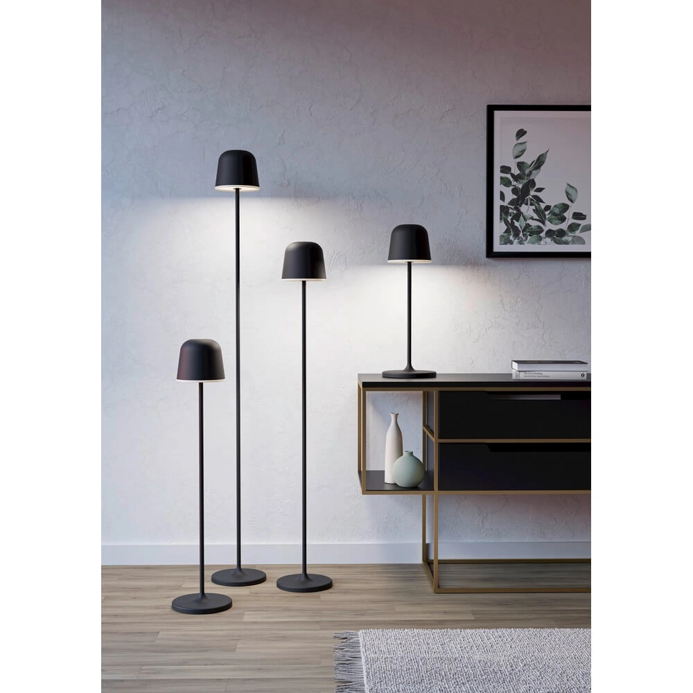 Terraslamp Mannera zwart Eglo 9008606334353
