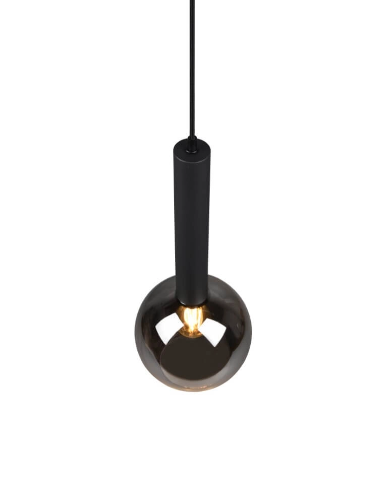 Hanglamp Clayton zwart met smoke glas Trio 4017807532951