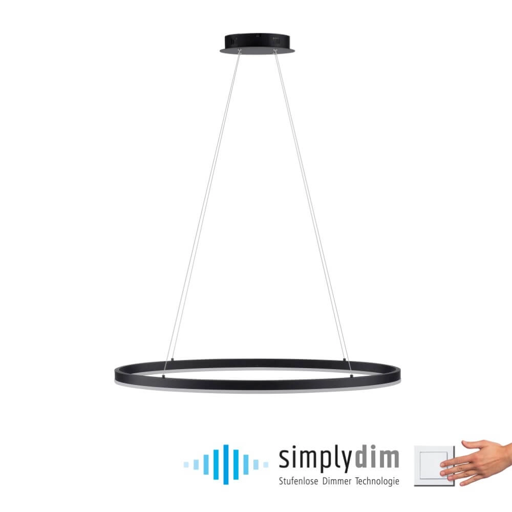Antraciete hanglamp Titus Ø 80cm Paul Neuhaus 4012248375211